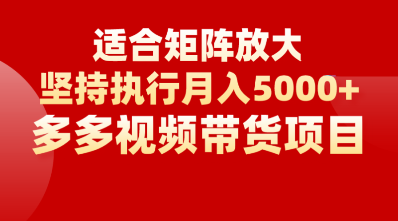矩阵操作月入5000+，多多视频带货项目，适合新手，也适合老手放大-副业网