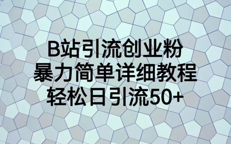 B站引流创业粉，暴力简单详细教程，轻松日引流50+-副业网