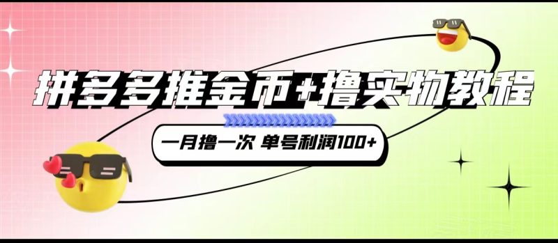 拼多多推金币+撸实物教程3.0、一月一次 单号利润100+-副业网