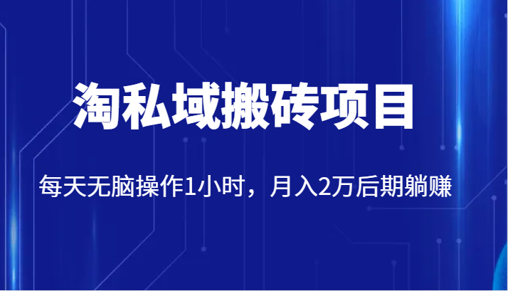 价值2980的淘私域搬砖项目，每天无脑操作1小时，月入2万后期躺赚-副业网