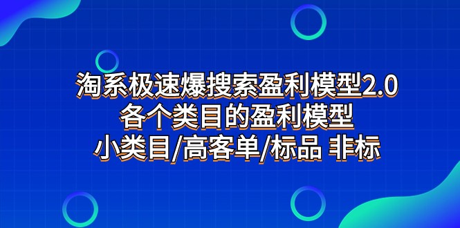 淘系极速爆搜索盈利模型2.0，各个类目的盈利模型，小类目/高客单/标品 非标-副业网