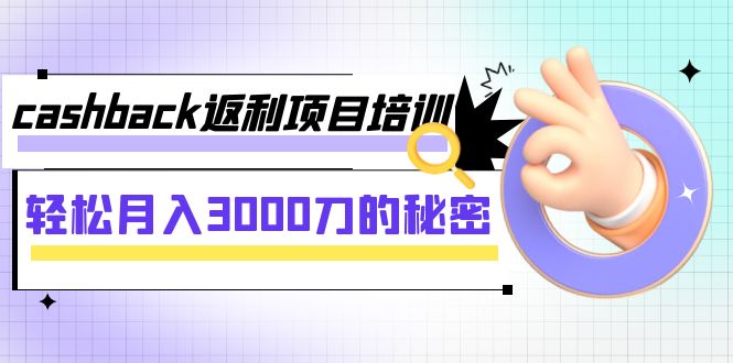 cashback返利项目培训：轻松月入3000刀的秘密（8节课）-副业网