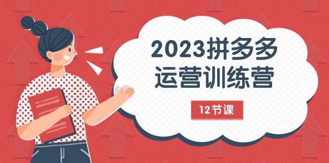 2023拼多多运营训练营：流量底层逻辑，免费+付费流量玩法（12节课）-副业网