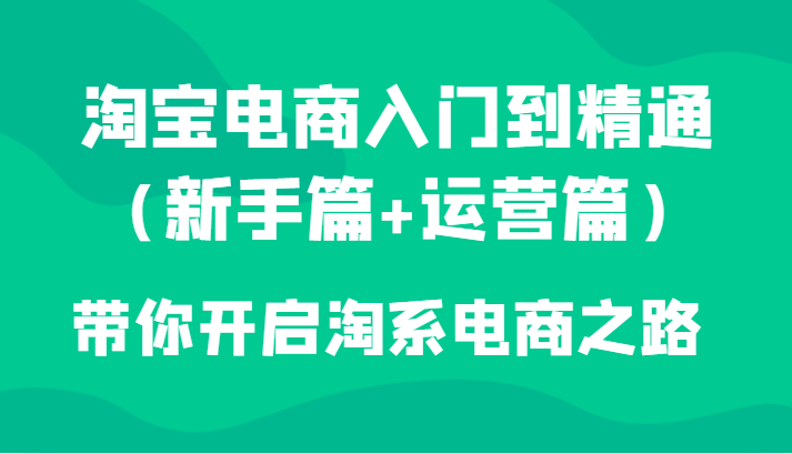 淘宝电商入门到精通（新手篇+运营篇）带你开启淘系电商之路-副业网