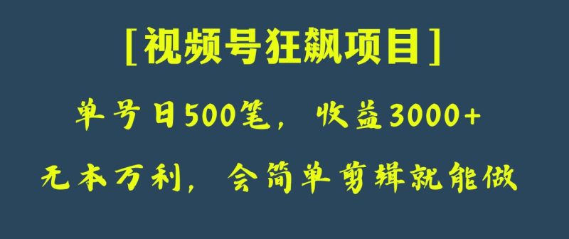 日收款500笔，纯利润3000+，视频号狂飙项目！-副业网