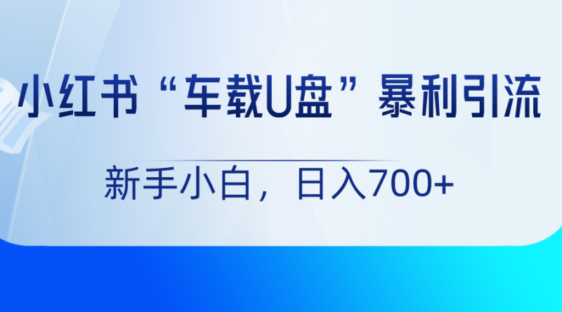 小红书“车载U盘”项目，暴利引流，新手小白轻松日入700+-副业网