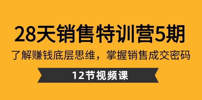 28天销售特训营5期：了解赚钱底层思维，掌握销售成交密码（12节课）-副业网