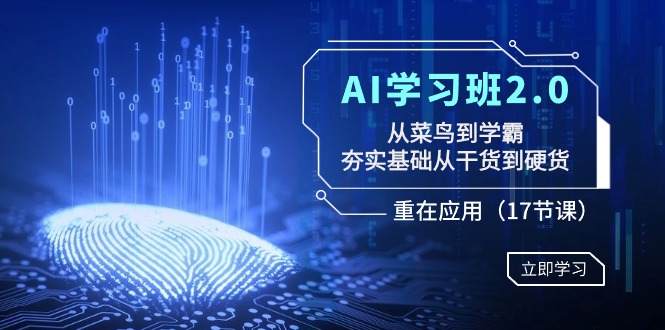 AI学习班2.0：从菜鸟到学霸，夯实基础从干货到硬货，重在应用（17节课）-副业网