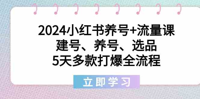2024小红书养号+流量课：建号、养号、选品，5天多款打爆全流程-副业网