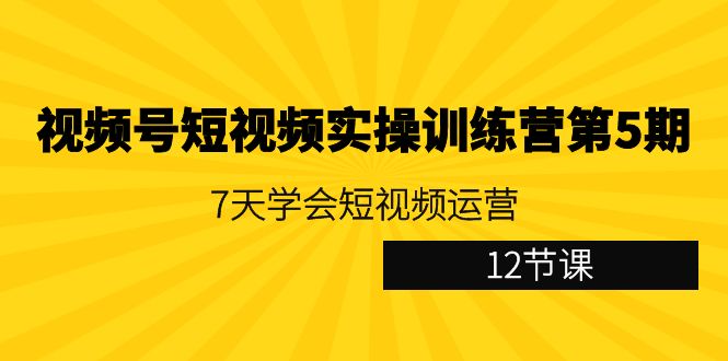 视频号短视频实操训练营第5期：7天学会短视频运营（12节课）-副业网