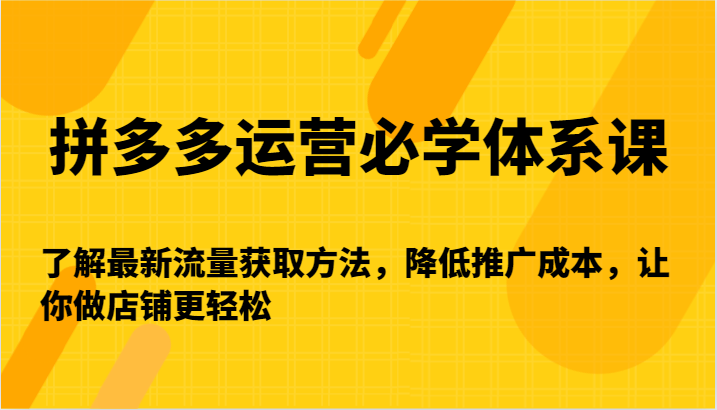 拼多多运营必学体系课-了解最新流量获取方法，降低推广成本，让你做店铺更轻松-副业网