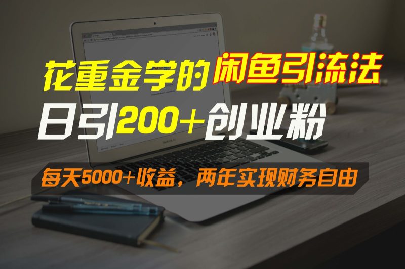花重金学的闲鱼引流法，日引流300+创业粉，每天5000+收益，两年实现财务自由-副业网