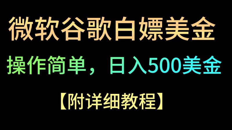 微软谷歌项目3.0，轻松日赚500+美金，操作简单，小白也可轻松入手！-副业网