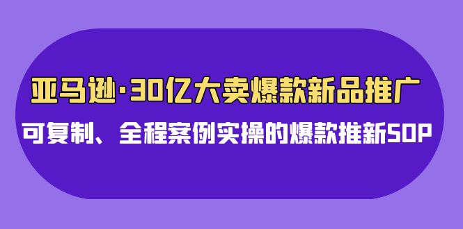 亚马逊30亿大卖爆款新品推广，可复制、全程案例实操的爆款推新SOP-副业网