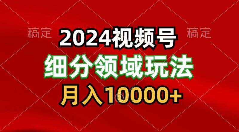 2024视频号分成计划细分领域玩法，每天5分钟，月入1W+-副业网