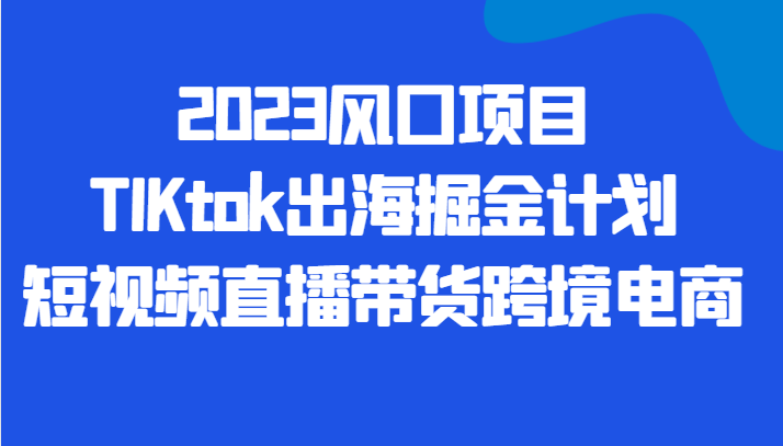 2023风口项目TIKtok出海掘金计划短视频直播带货跨境电商-副业网