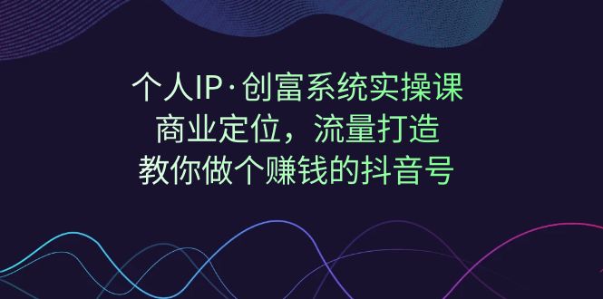 个人IP·创富系统实操课：商业定位，流量打造，教你做个赚钱的抖音号-副业网