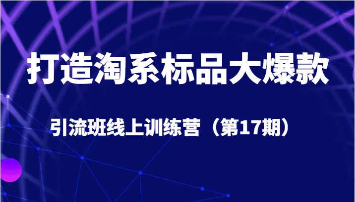 打造淘系标品大爆款引流班线上训练营（第17期）5天直播授课+1个月答疑-副业网