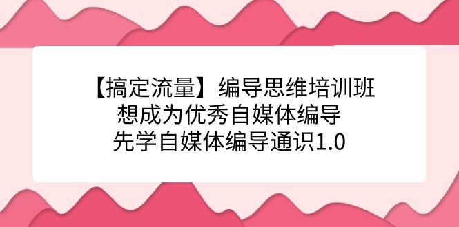 【搞定流量】编导思维培训班，想成为优秀自媒体编导先学自媒体编导通识1.0-副业网