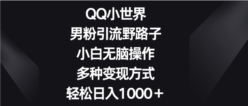 QQ小世界男粉引流野路子，小白无脑操作，多种变现方式轻松日入1000＋-副业网