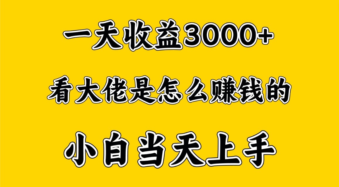 一天赚3000多，大佬是这样赚到钱的，小白当天上手，穷人翻身项目-副业网