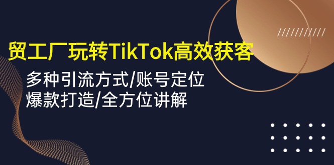外贸工厂玩转TikTok高效获客，多种引流方式/账号定位/爆款打造/全方位讲解-副业网