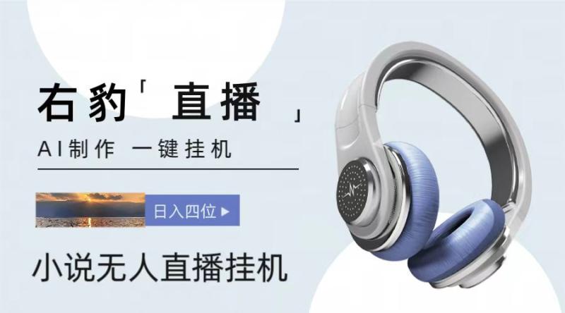 右豹小说无人直播挂机吸金项目，简单易行收益稳定， 月入1000+-副业网