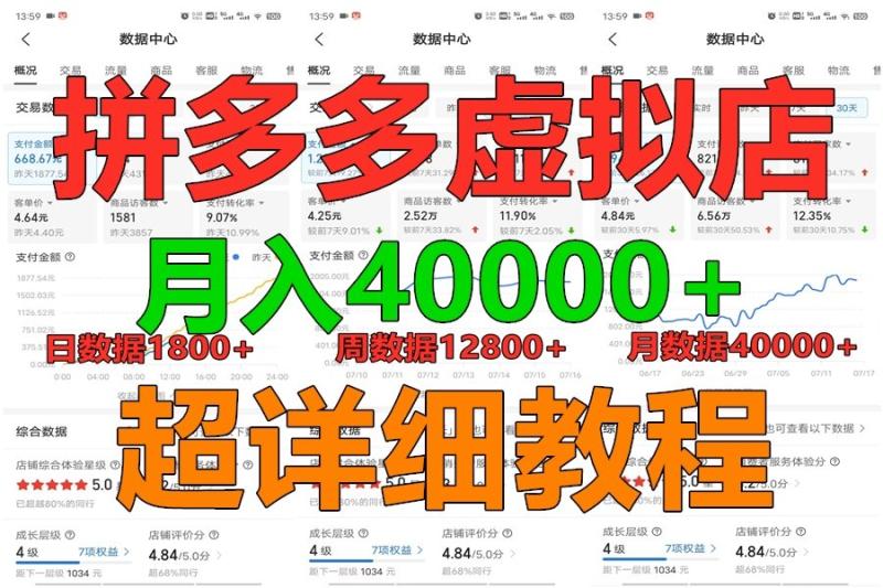 拼多多虚拟电商训练营月入40000+，全网最详细，你做你也行，暴利稳定长久-副业网