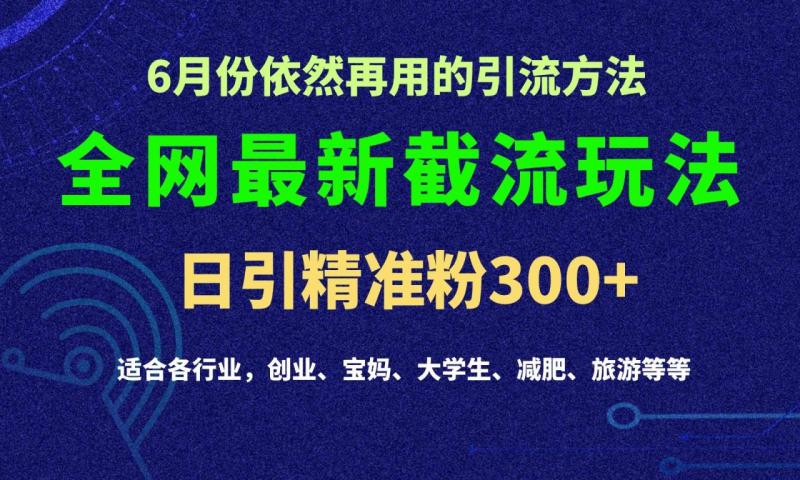 2024全网最新截留玩法，每日引流突破300+-副业网