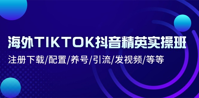 海外TIKTOK抖音精英实操班：注册下载/配置/养号/引流/发视频/等等-副业网