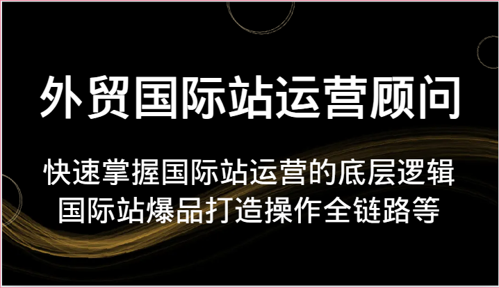 外贸国际站运营顾问-快速掌握国际站运营的底层逻辑，国际站爆品打造操作全链路等-副业网