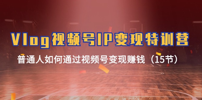 Vlog视频号IP变现特训营，普通人如何通过视频号变现赚钱（15节）-副业网