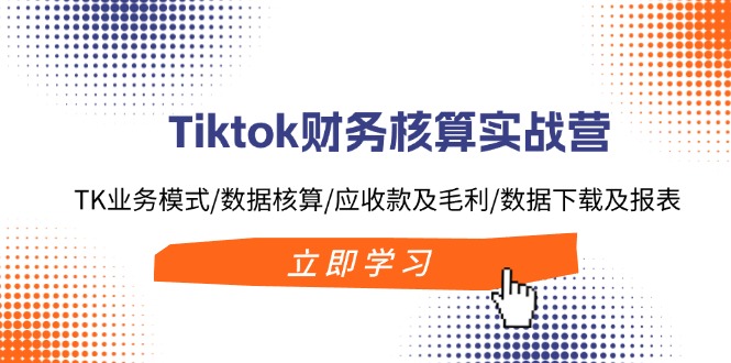 Tiktok财务核算实战营：TK业务模式/数据核算/应收款及毛利/数据下载及报表-副业网