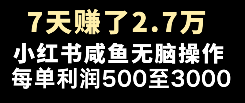 七天赚了2.7万！每单利润最少500+，轻松月入5万+小白有手就行-副业网