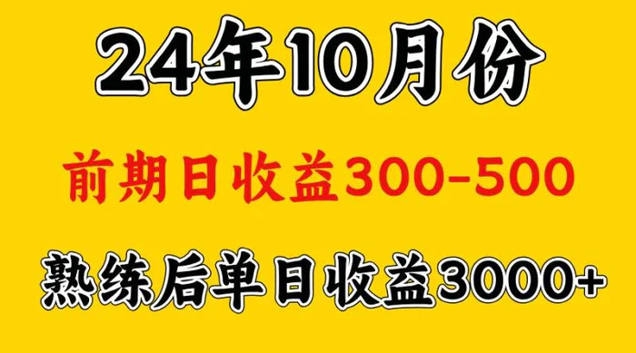 高手是怎么赚钱的.前期日收益500+熟练后日收益3000左右-副业网
