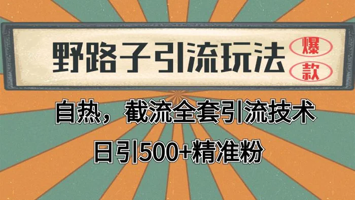 抖音小红书视频号全平台引流打法，全自动引流日引2000+精准客户-副业网