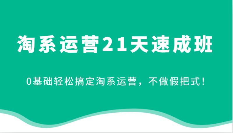 淘系运营21天速成班，0基础轻松搞定淘系运营，不做假把式！-副业网