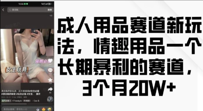 成人用品赛道新玩法，情趣用品一个长期暴利的赛道，3个月收益20个-副业网