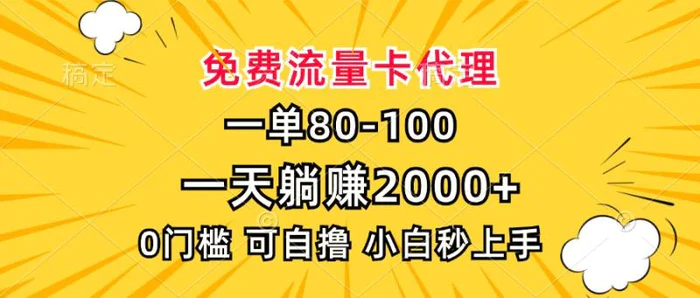 （13551期）一单80，免费流量卡代理，一天躺赚2000+，0门槛，小白也能轻松上手-副业网