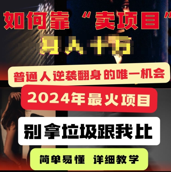 2024年最火项目，如何靠“卖项目”逆装翻身，简单易懂 详细教学 完整版5节课-副业网