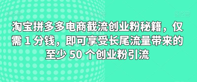 淘宝拼多多电商截流创业粉秘籍，仅需 1 分钱，即可享受长尾流量带来的至少 50 个创业粉引流-副业网