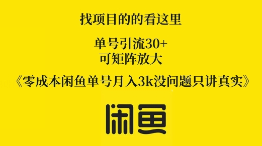 零成本闲鱼单号月入3k没问题只讲真实-副业网