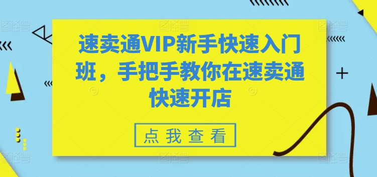 速卖通VIP新手快速入门班，手把手教你在速卖通快速开店-副业网