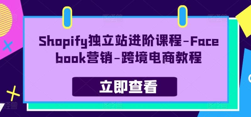 Shopify独立站进阶课程-Facebook营销-跨境电商教程-副业网