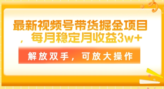 最新视频号带货掘金项目，每月稳定月收益1w+，解放双手，可放大操作-副业网