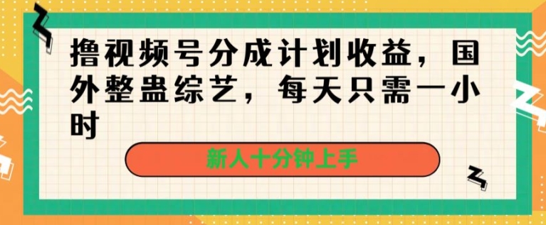 撸视频号分成计划收益，国外整蛊综艺，每天只需一小时，新人十分钟上手-副业网
