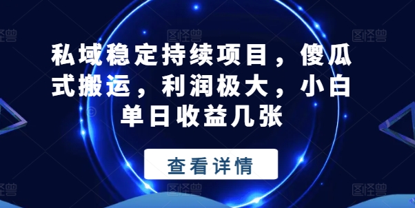 私域稳定持续项目，傻瓜式搬运，利润极大，小白单日收益几张【揭秘】-副业网