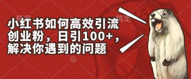 小红书如何高效引流创业粉，日引100+，解决你遇到的问题【揭秘】-副业网
