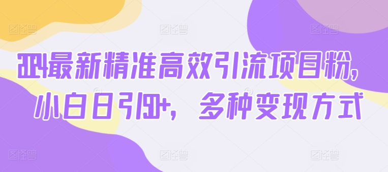 2024最新精准高效引流项目粉，小白日引50+，多种变现方式-副业网