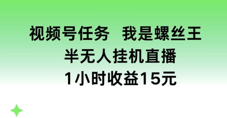 视频号任务，我是螺丝王， 半无人挂机1小时收益15元【揭秘】-副业网